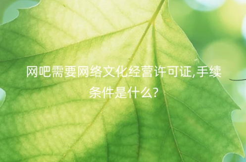 網(wǎng)吧需要網(wǎng)絡文化經(jīng)營許可證,手續(xù)條件是什么?