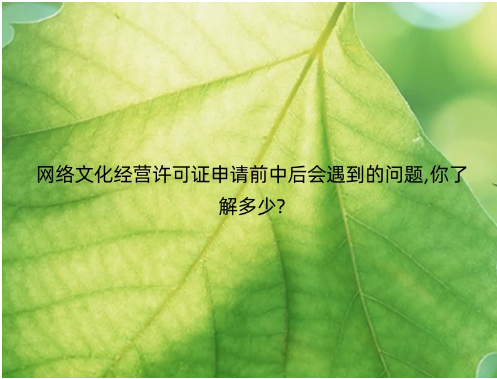 網(wǎng)絡(luò)文化經(jīng)營(yíng)許可證申請(qǐng)前中后會(huì)遇到的問(wèn)題,你了解多少?