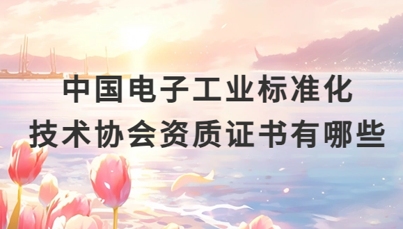 中國電子工業(yè)標(biāo)準(zhǔn)化技術(shù)協(xié)會(huì)資質(zhì)證書有哪些?