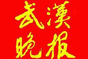 武漢晚報登報聲明一般幾天見報？
