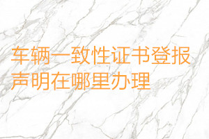 車輛一致性證書(shū)登報(bào)聲明在哪里辦理